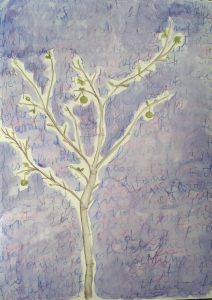 la Magia del Semplice